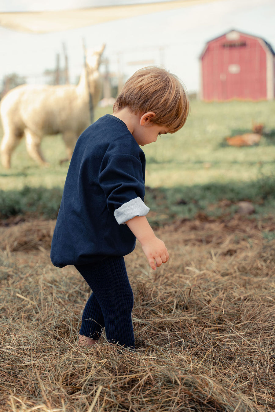 Boys Wool Blazer