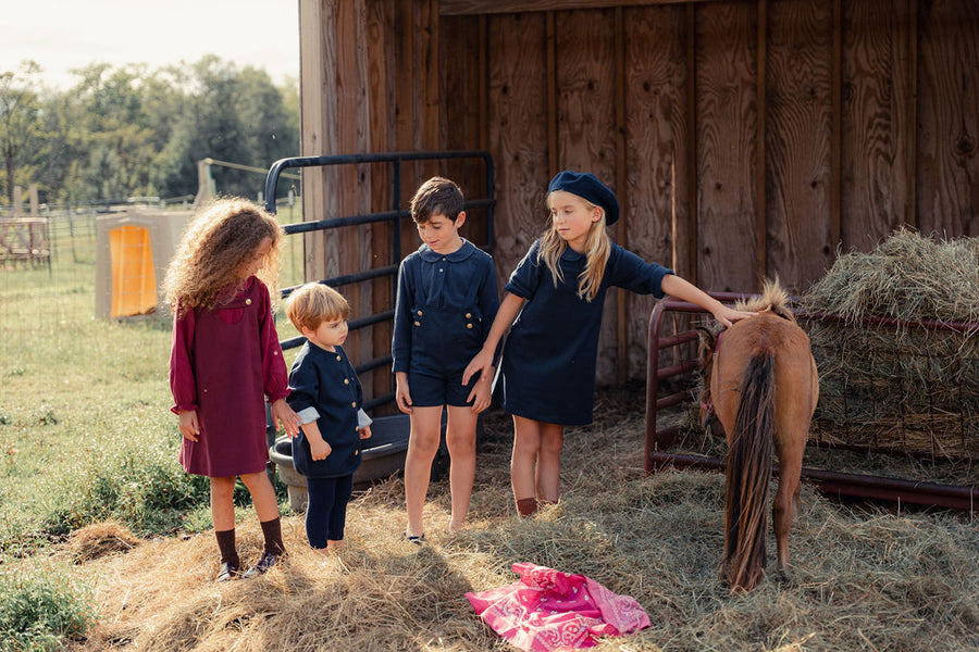 Boys Short Overalls with Shirt