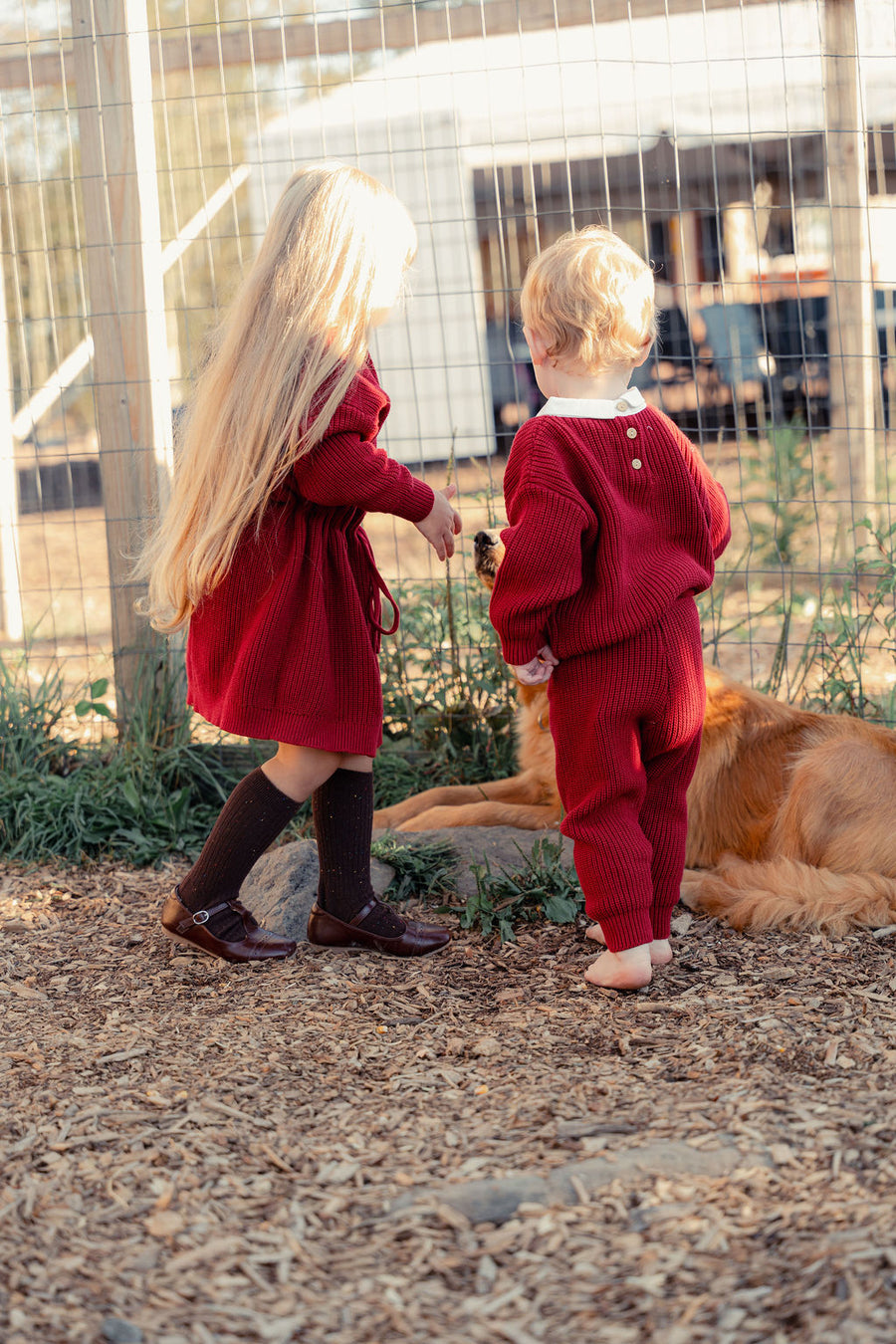 Girls Knit Dress with Bow Collar