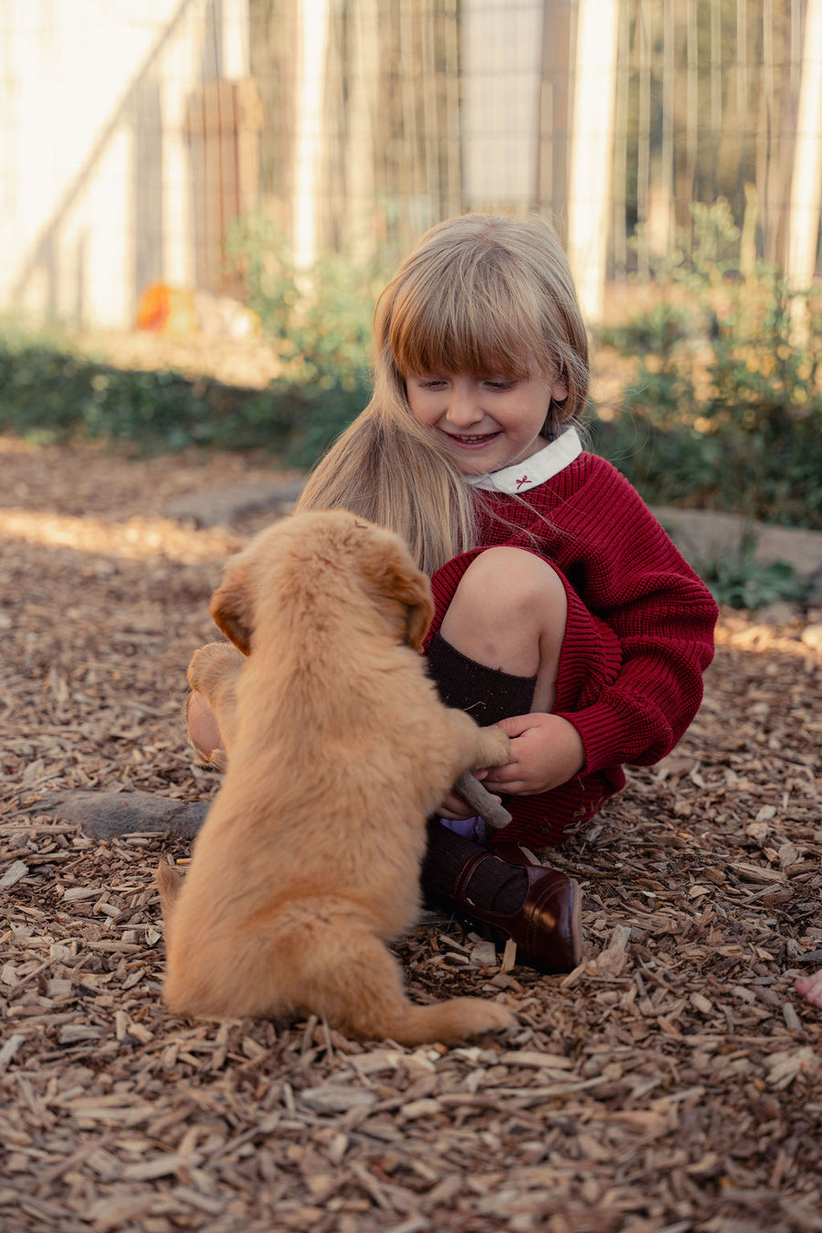 Girls Knit Dress with Bow Collar
