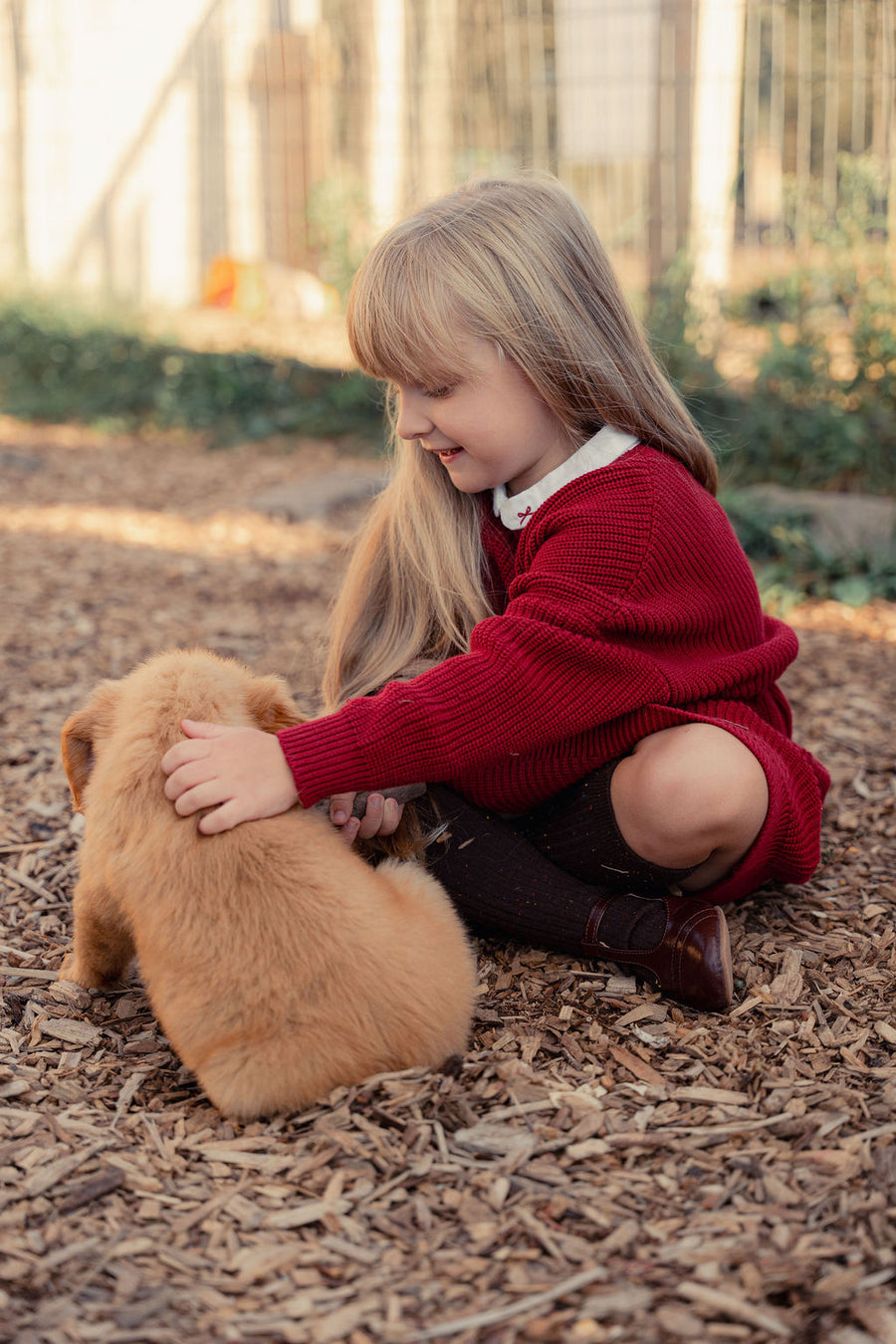 Girls Knit Dress with Bow Collar