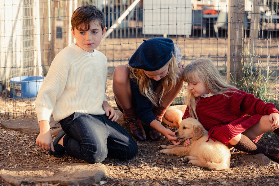 Boys Knit Sweater with Boat Collar