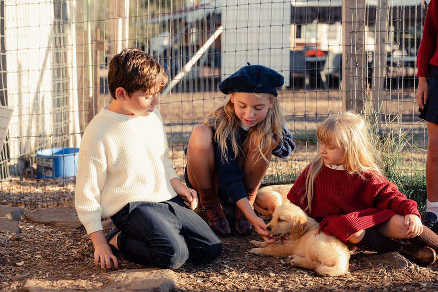 Boys Knit Sweater with Boat Collar