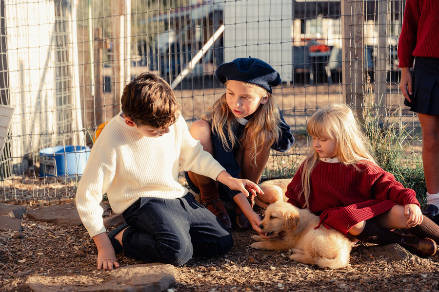 Girls Knit Sweater with Bow Collar